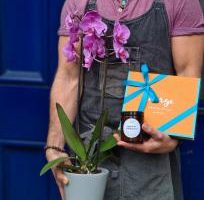 Image of the sugarloaf gift set by Adonis featuring an orchid plant, a Millquarter studio candle and a box of chocolates by Lorge