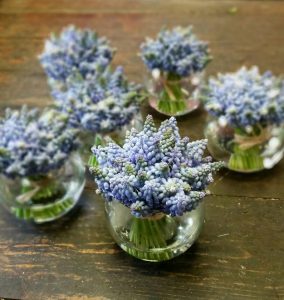 Image showing blue Muscari flowers in mini fishbowl vases